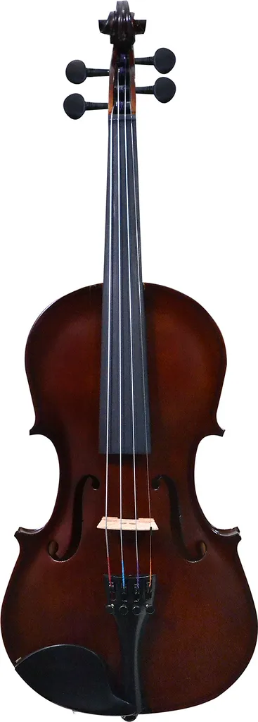 Violon d'Apprentissage 1/2 Hidersine 3176C Inizio Idéal pour Débuter