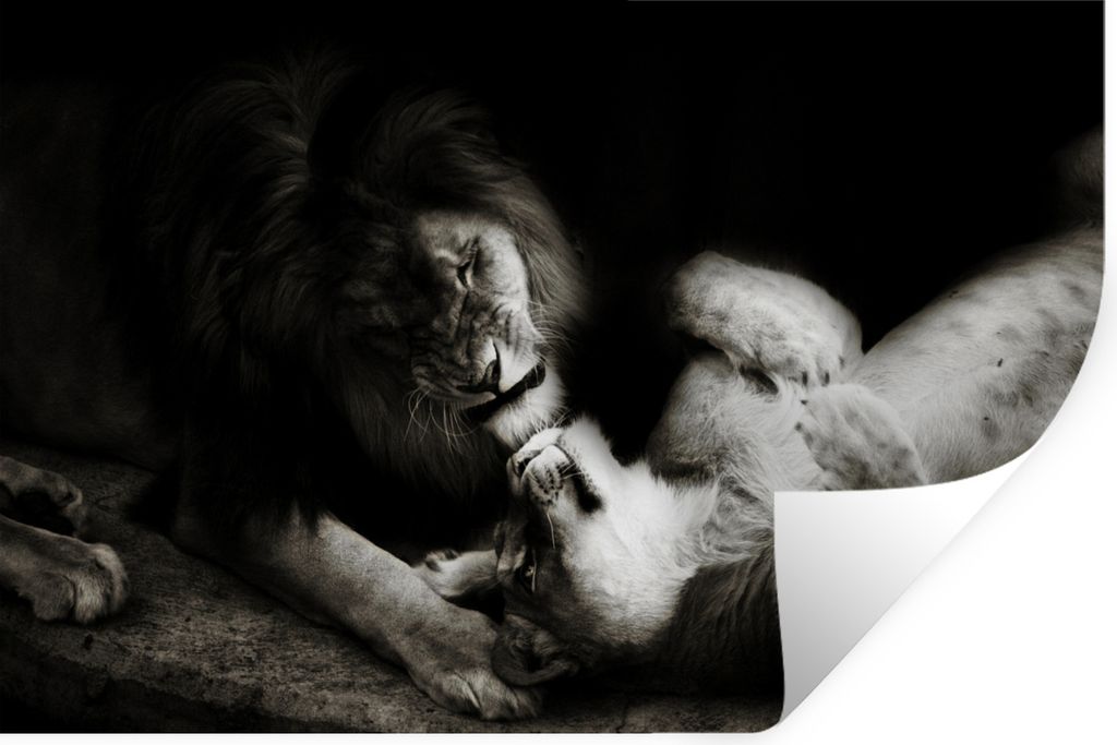 MuchoWow - Wierderverwendbar - Selbstklebend