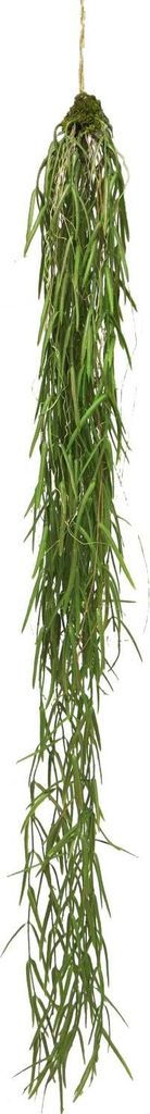 artplants.de Deko Hänger Asparagus sprengeri LINGLI, grün, 95 cm - Künstlicher Hänger
