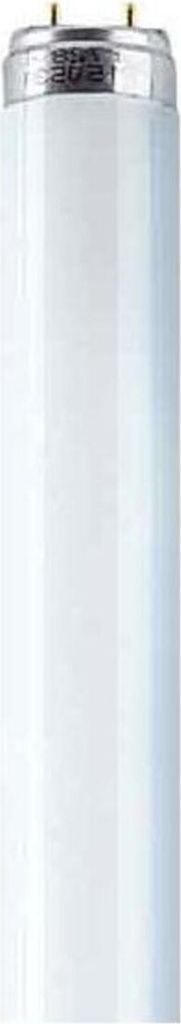 A close-up, full-length view of a fluorescent light bulb against a white background.