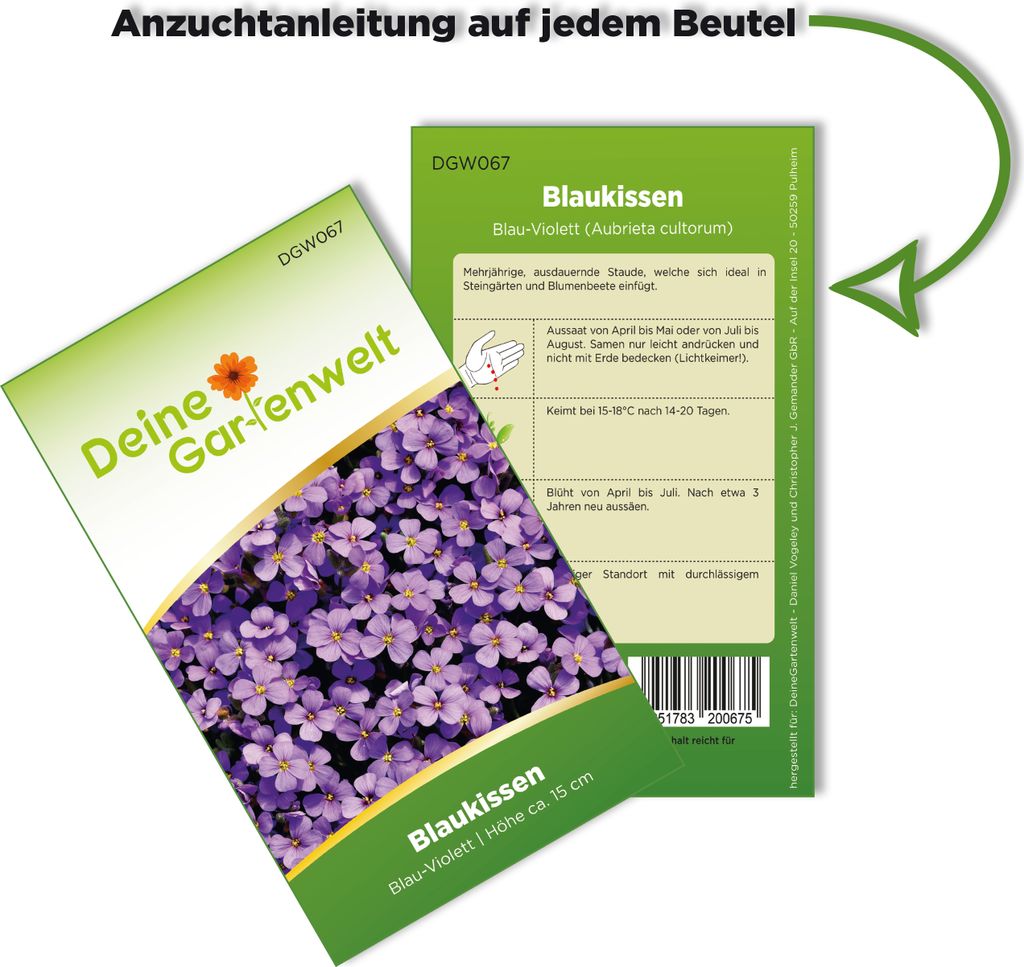 Blaukissen Violett Samen - Aubrieta cultorum - Produktbild 3