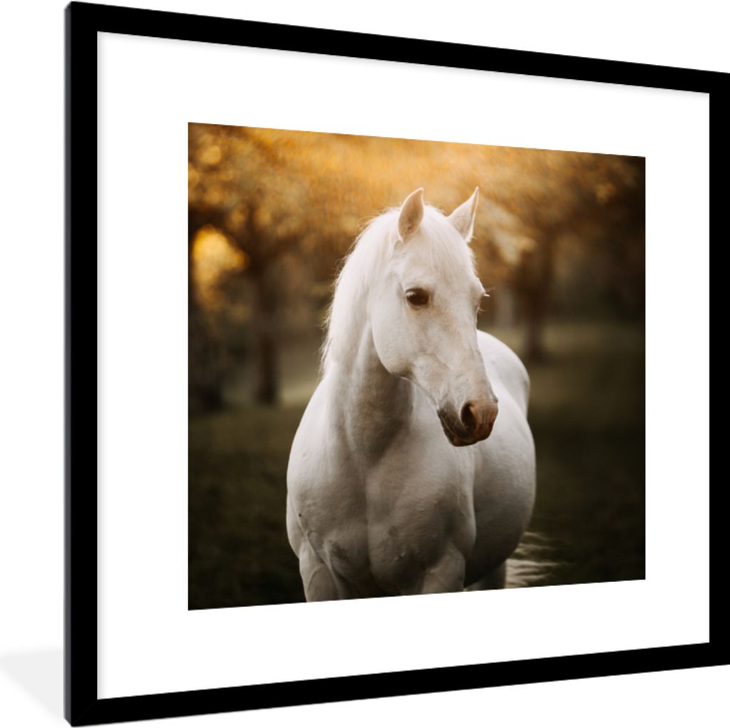 MuchoWow Gerahmtes Poster Pferd - Sonne - Herbst - Tiere - Natur 40x40 cm - Poster mit Schwarzem Bilderrahmen Wandposter Rahmen Foto Bilder - Pos...