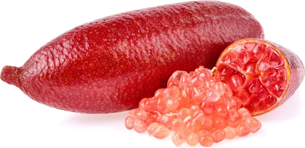 Kaviarlimette 90 - 100 cm | roter Kaviar | Zitrusbaum | Fingerlimette | veredelt | | hergestellt in Italien