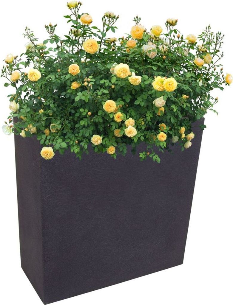 Pflanzkasten anthrazit Blumenkasten Hochbeet Terrasse Produktbild 