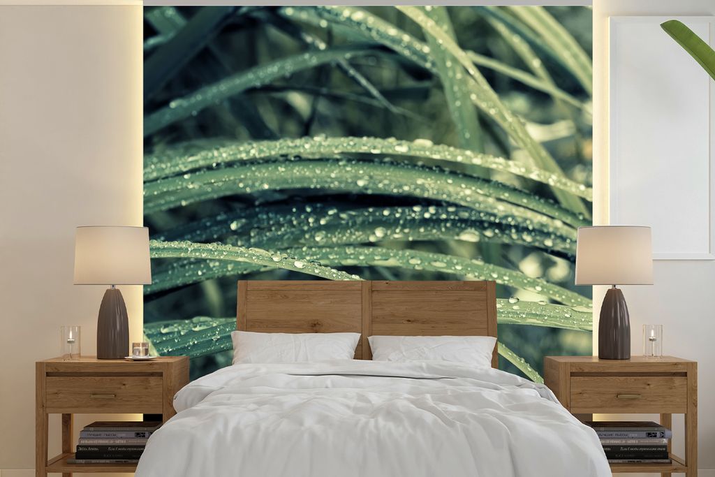 MuchoWow Fototapete für Wohnzimmer oder Schlafzimmer Wandtapete Vinyl Motivtapete Grünes botanisches Gras nach Regenfällen - 260x260 cm - Papi...