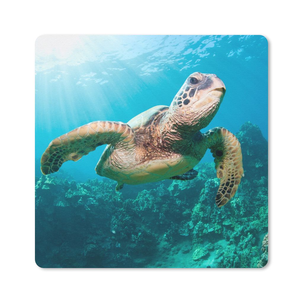 MuchoWow Mauspad Mousepad Schwimmende Schildkröte Fotodruck 20x20 cm - Mousepads - Maus Mat - Pad - Mausunterlage - Desk Mat - Bureauartikeln
