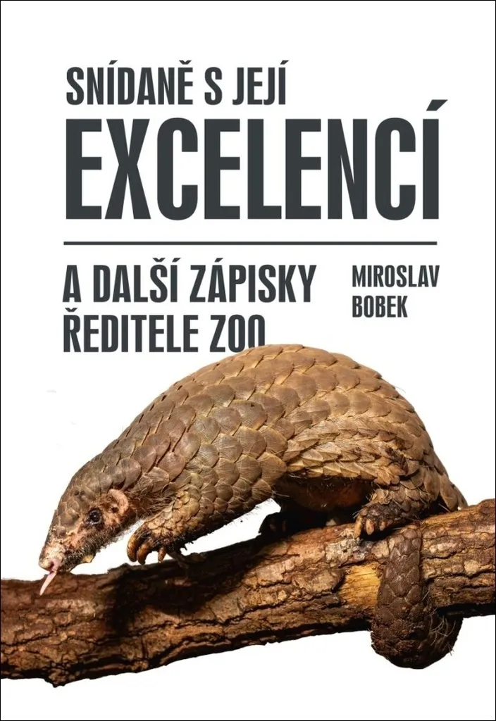 Snídaně s její excelencí de Miroslav Bobek : Livre illustré relié 21cm