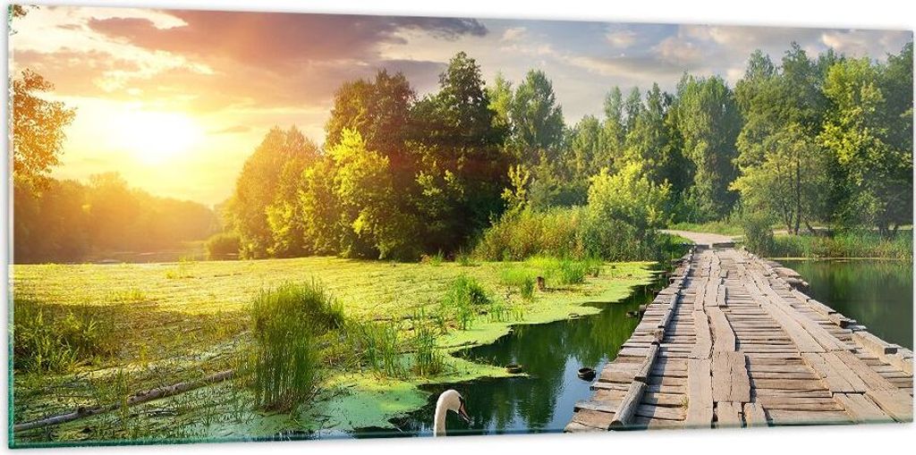 Bilder auf glas - Architektur Promenade Schwan Landschaft - 120x50cm - Glasbilder - Wandbilder - Kunstdruck - Wanddekoration aus Glas - Glas Bilder...