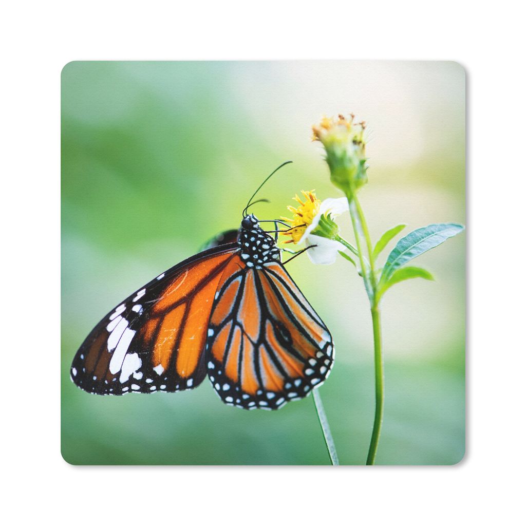 MuchoWow Mauspad Mousepad Schmetterling - Blumen - Insekten 30x30 cm - Mousepads - Maus Mat - Pad - Mausunterlage - Gaming