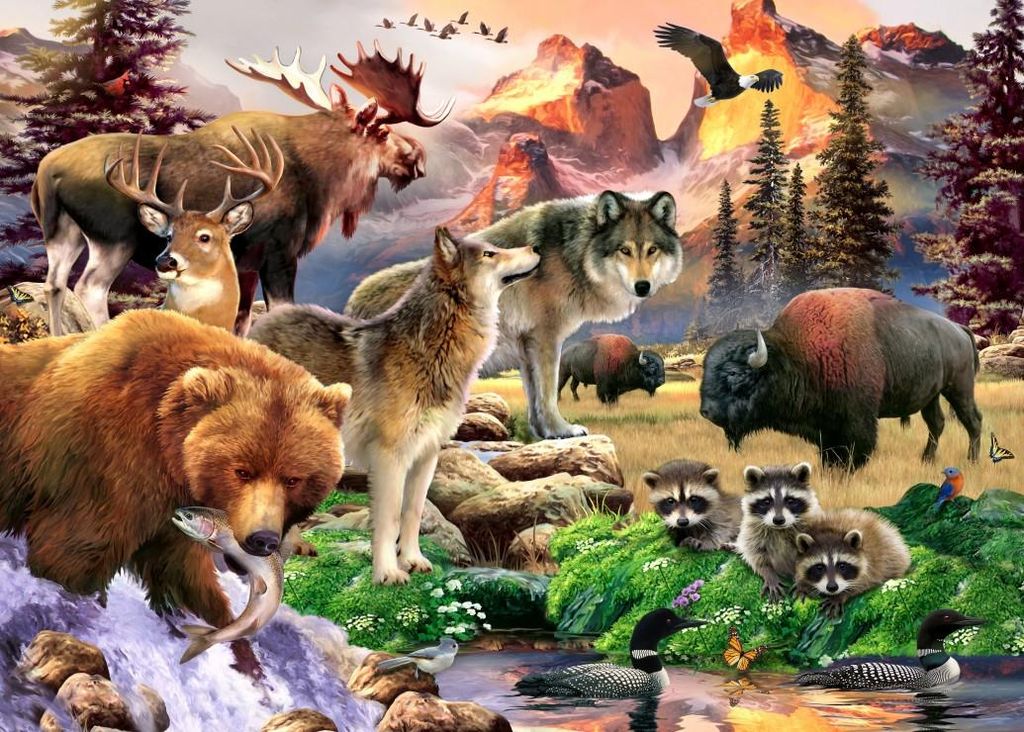 Alipson Puzzle Legespiel The Great Outdoors - 500 Teile multicolor