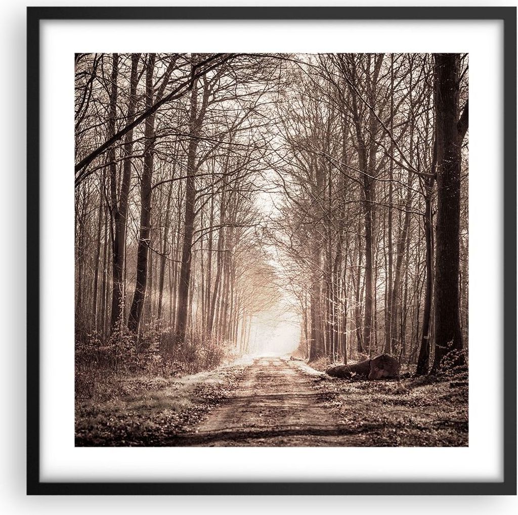 Gerahmtes Poster - Schwarzer Rahmen - Wald Straße Baum - Produktbild 