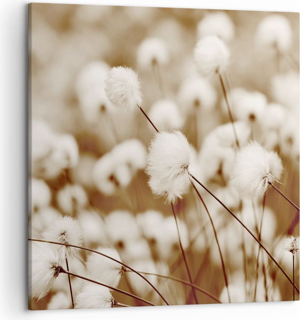 Bild auf Leinwand - Leinwandbild - Einteilig - Baumwolle Boho Wollig - 50x50cm - Wand Bild - Wanddeko - Wandbilder - Leinwanddruck - Bilder - Wandd...