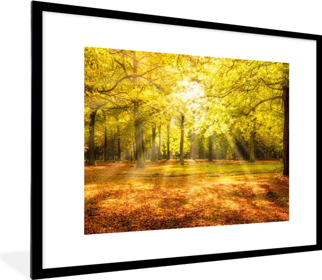 MuchoWow Gerahmtes Poster Baum - Natur - Sonne - Landschaft - Wald 80x60 cm - Poster mit Schwarzem Bilderrahmen Wandposter Rahmen Foto Bilder - S...