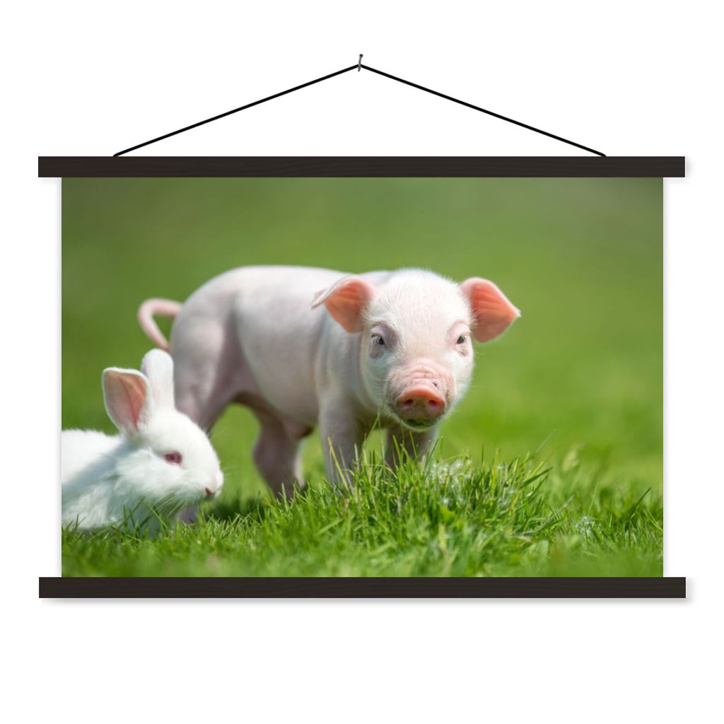 MuchoWow Textilposter Ferkel - Kaninchen - Tiere 120x80 cm mit schwarzem Rahmen - Wanddeko