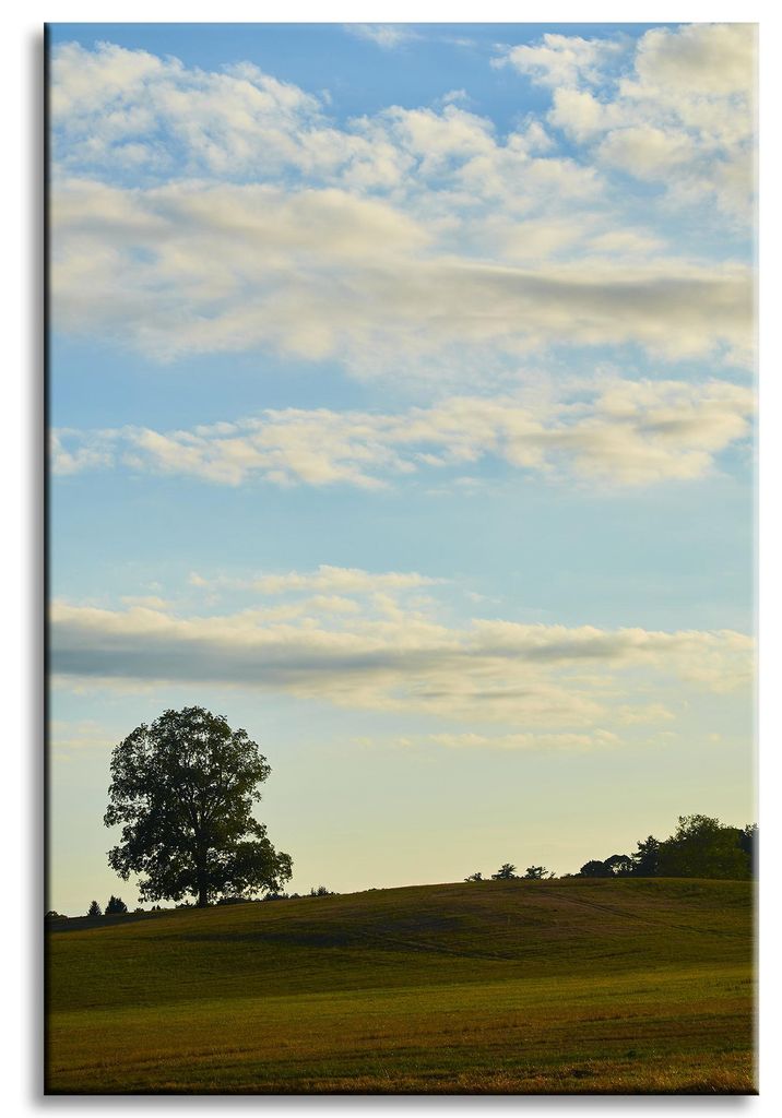 Leinwanddruck Natur Baum auf einer Wiese 60x90 cm Himmel Wiese Wolken