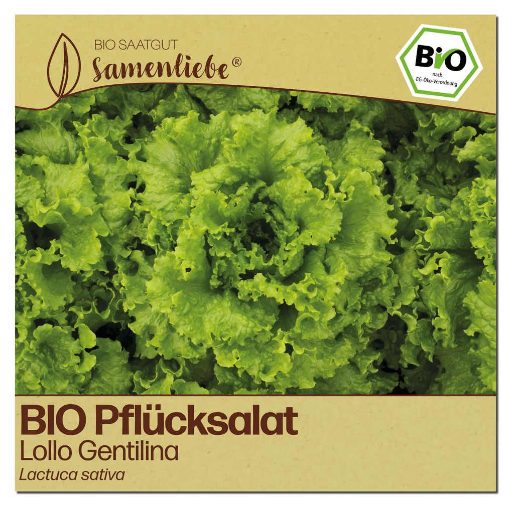 Samenliebe Salat Samen | Lollo Gentilina - stark gekraust - samenfestes Saatgut