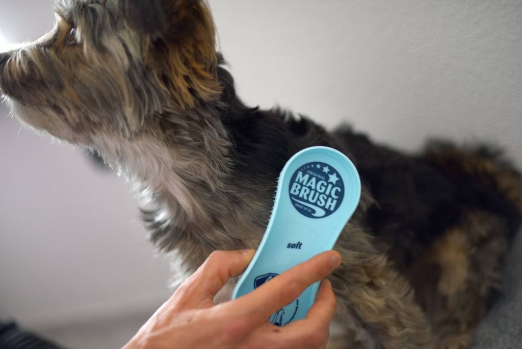 Kerbl Kerbl MagicBrush Bürste (Soft, für besonders sensible Zdjęcie produktu 