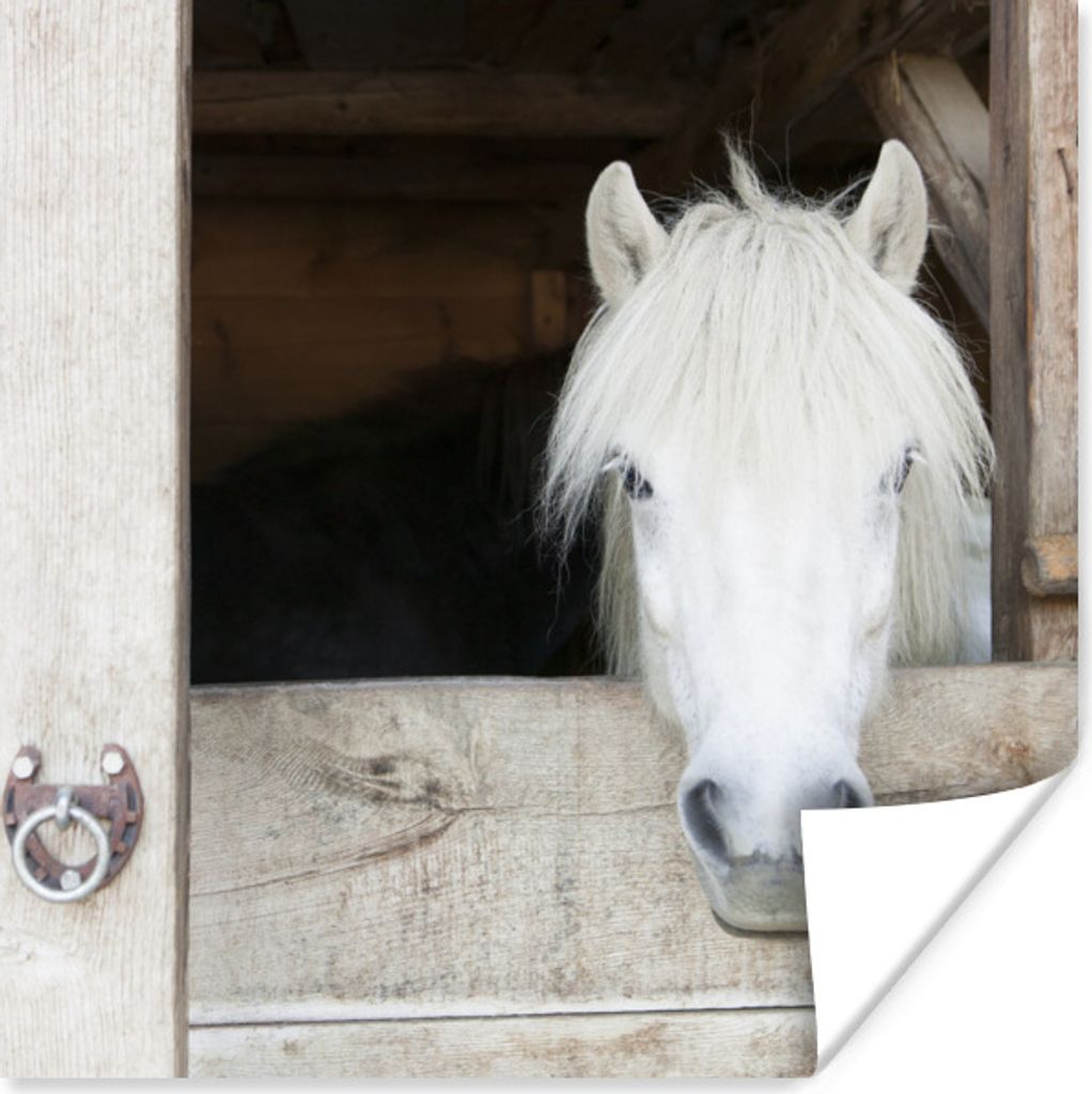 MuchoWow Poster Pferde - Pferdestall - Regale 75x75 cm - Wand Dekoration