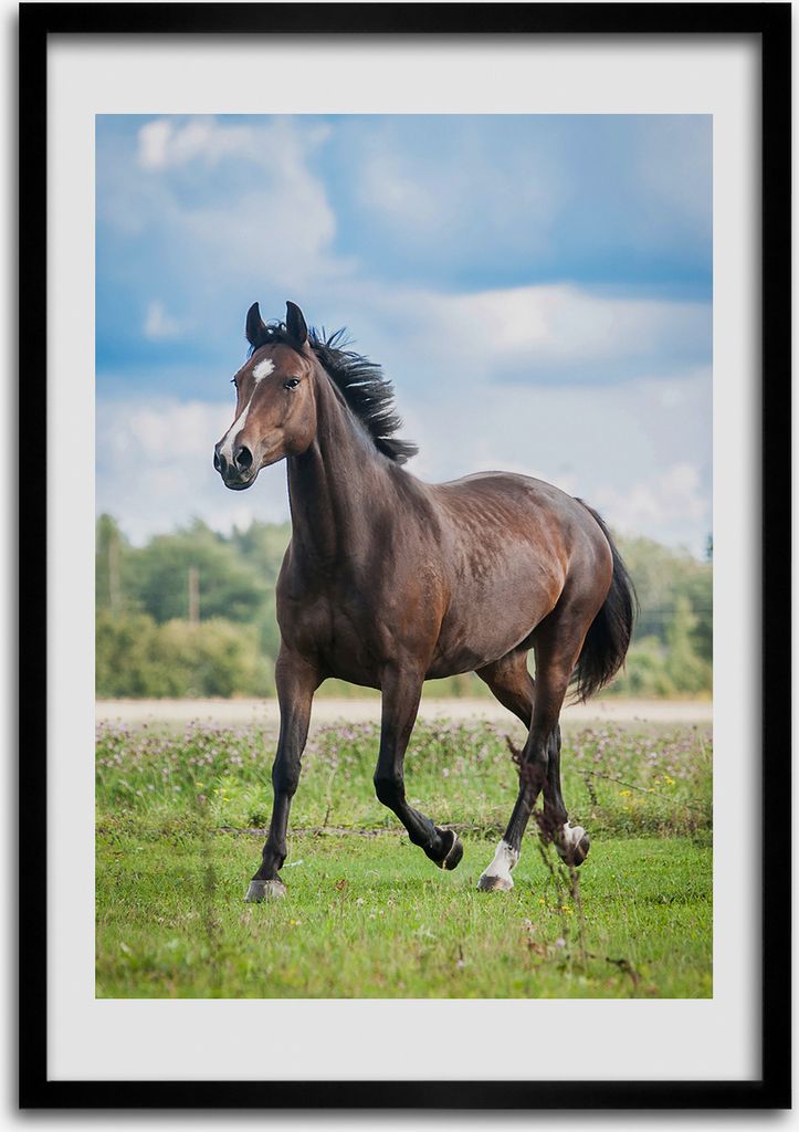 Bild - Bilderrahmen - 50 cm x 70 cm - MDF - Rahmen - Wandkunst Pferd auf dem Feld
