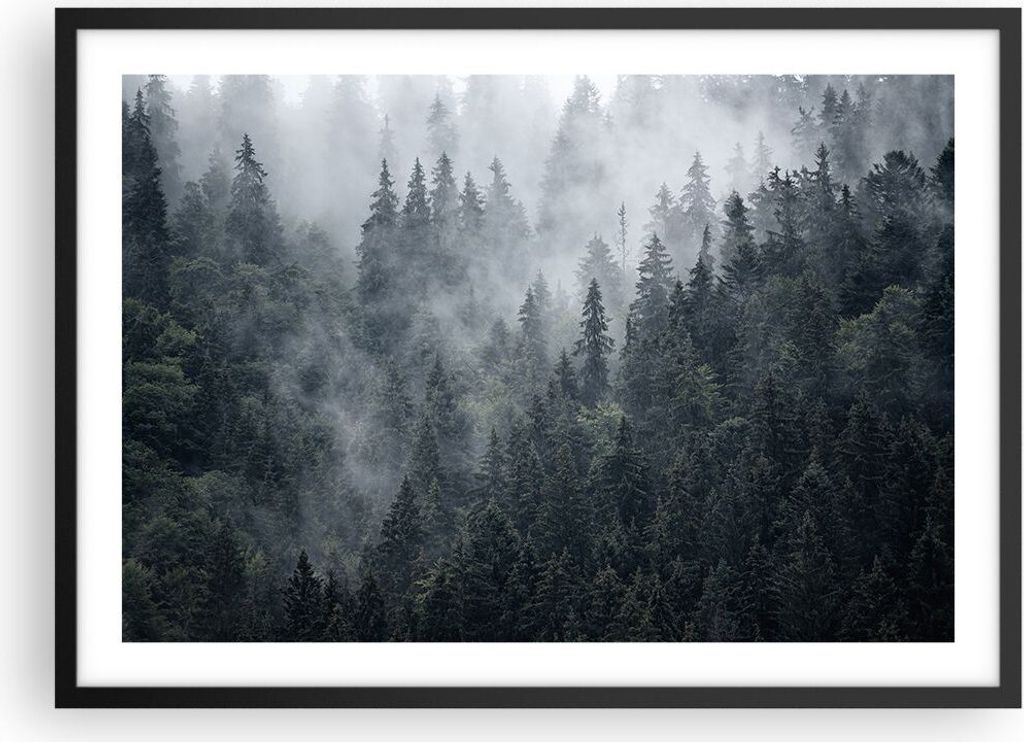 Gerahmtes Poster - Schwarzer Rahmen - Wald Baum Natur - 70x50 cm - Wand Bild - Wanddeko - Wandbilder - Kunstposter - Wandposter - Bilderrahmen - Bi...