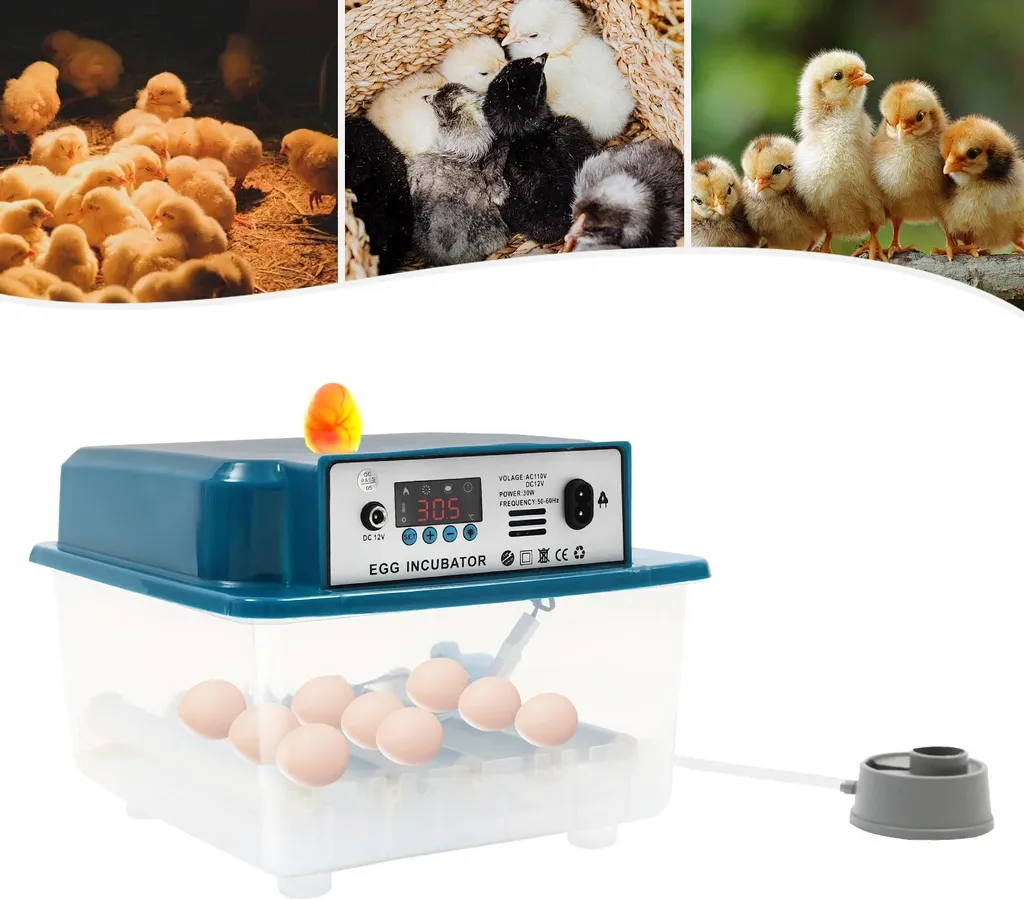 Acquista Incubatrice Automatica 16 Uova 30W - Doppia Alimentazione 12V/220V