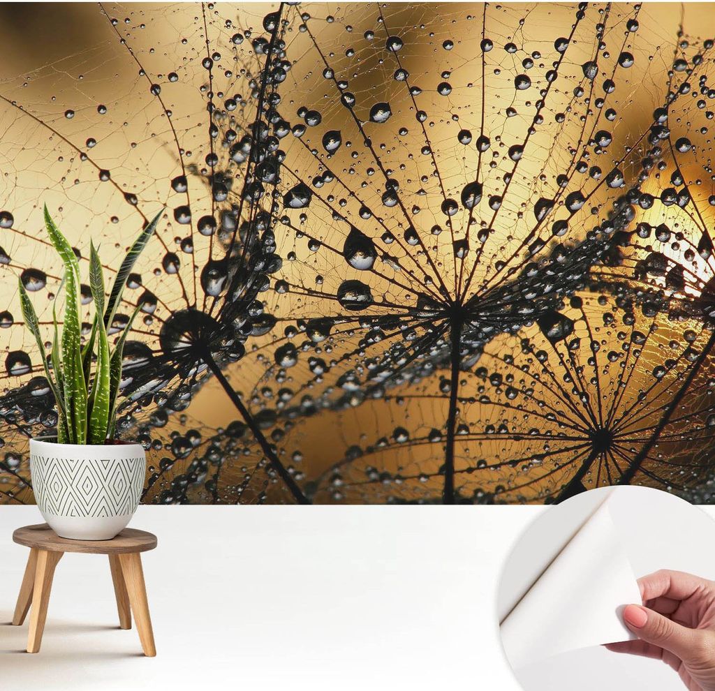 Fototapete selbstklebend - 208x146 cm - Tapete - Wandtapete - Wandbilder - Klebefolie - Dekofolie - Tapete Folie - Wand - Dekoration - Wohnzimmer -...