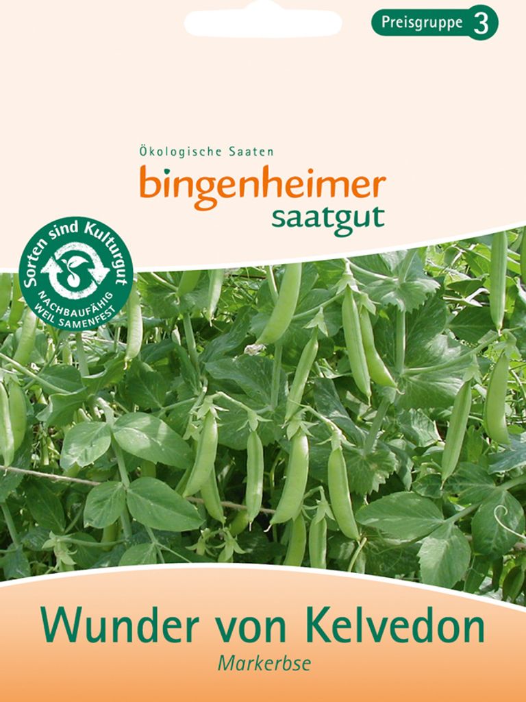 Bingenheimer Saatgut Markerbse 1 Stück