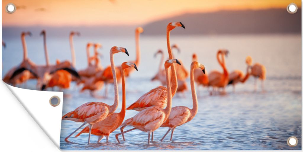 MuchoWow 60x30 cm Outdoor-Poster Gartendeko Sichtschutz Garten Poster für den Garten Flamingo - Tiere - Wasser - Rosa