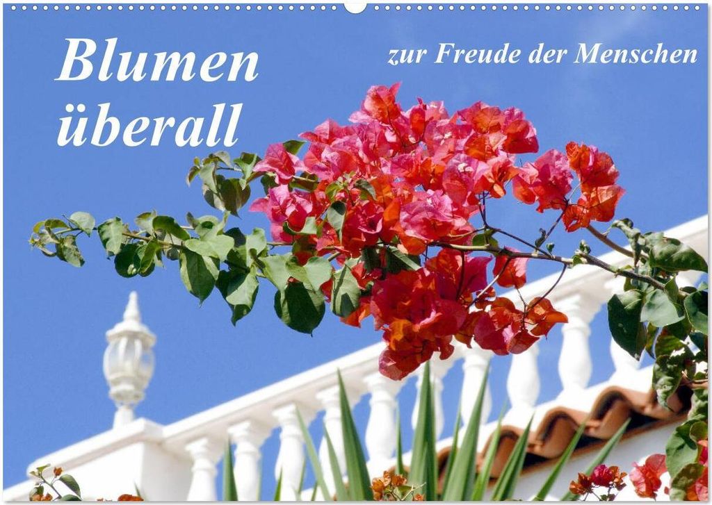 Blumen überall, zur Freude Menschen (Wandkalender 2026 DIN A2 quer), CALVENDO Monatskalender