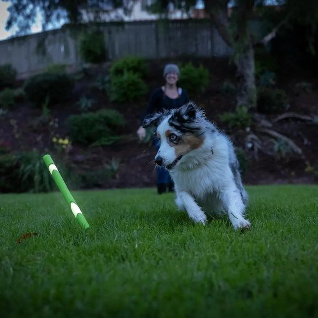 Jouet interactif bâton Ultra Fetch Chuckit pour chien actif