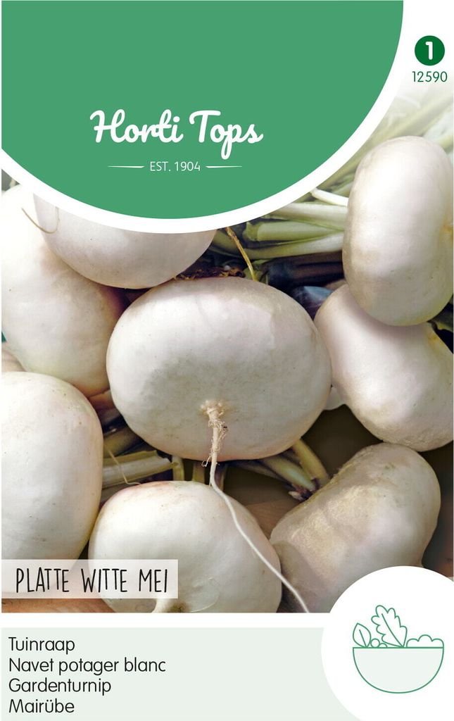 Mairübe Höllandische Weiße | Mairübensamen von Hortitops