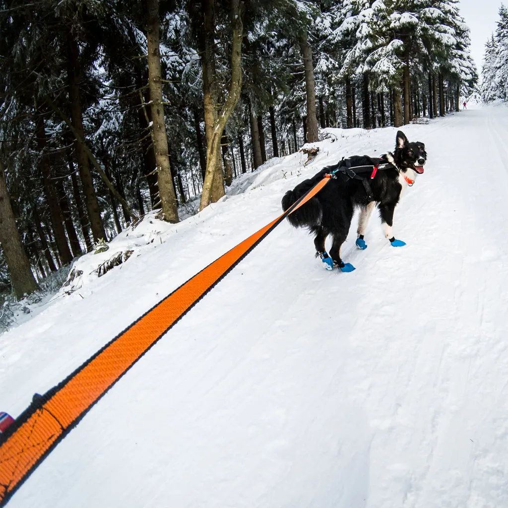 Laisse de canicross Bungee Leash 2.0 de 2m idéale pour randonnée active - 5