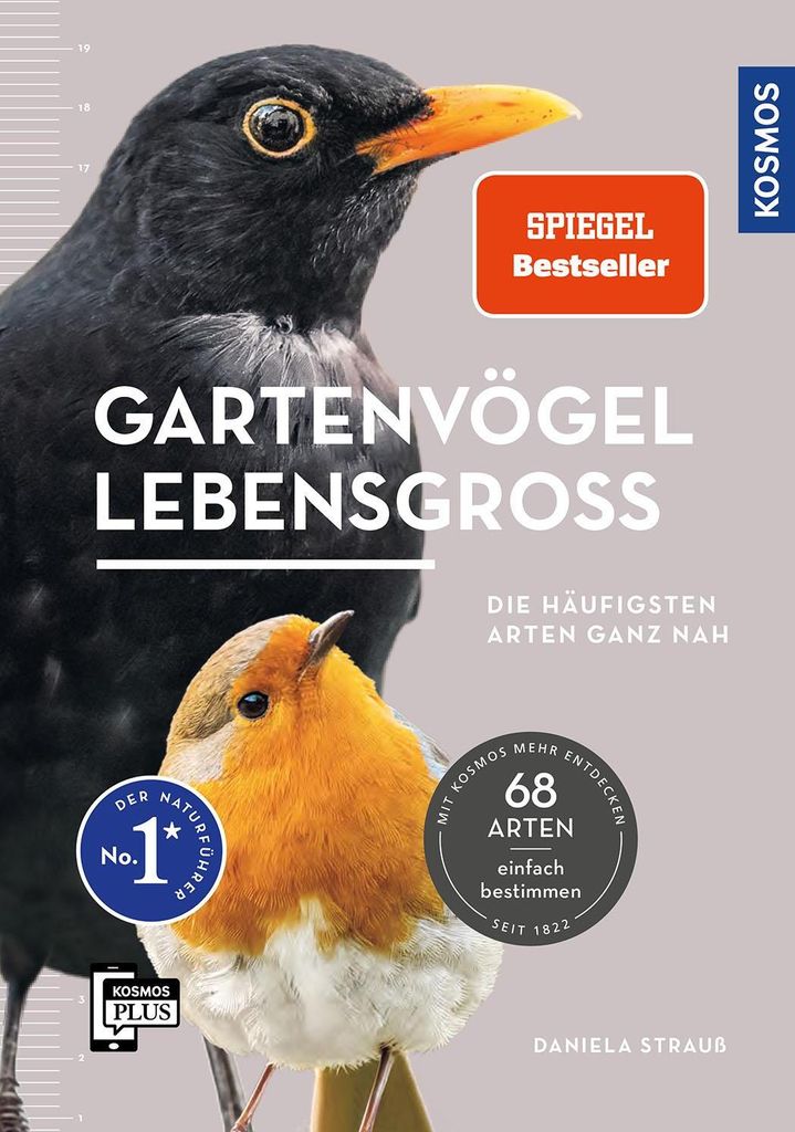 Gartenvögel lebensgroß Produktbild 