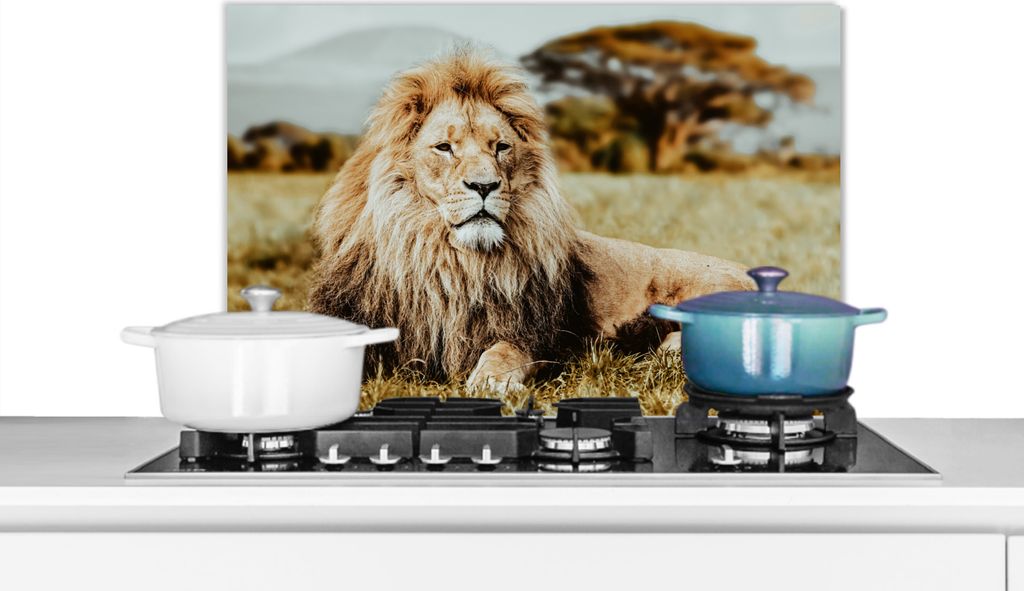 KitchenYeah Spritzschutz Küche - Küchenrückwand - Wandschutz für Herd und Spüle - Löwen - Wild - Afrika 60x40 - Alu-Dibond (Alternative zu...