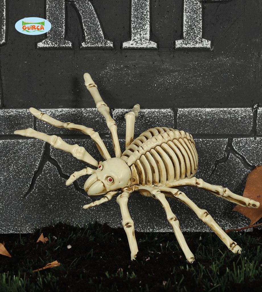 Spinnenboterham, spinnen, skelet, spin, botten, Halloween, Productafbeelding 