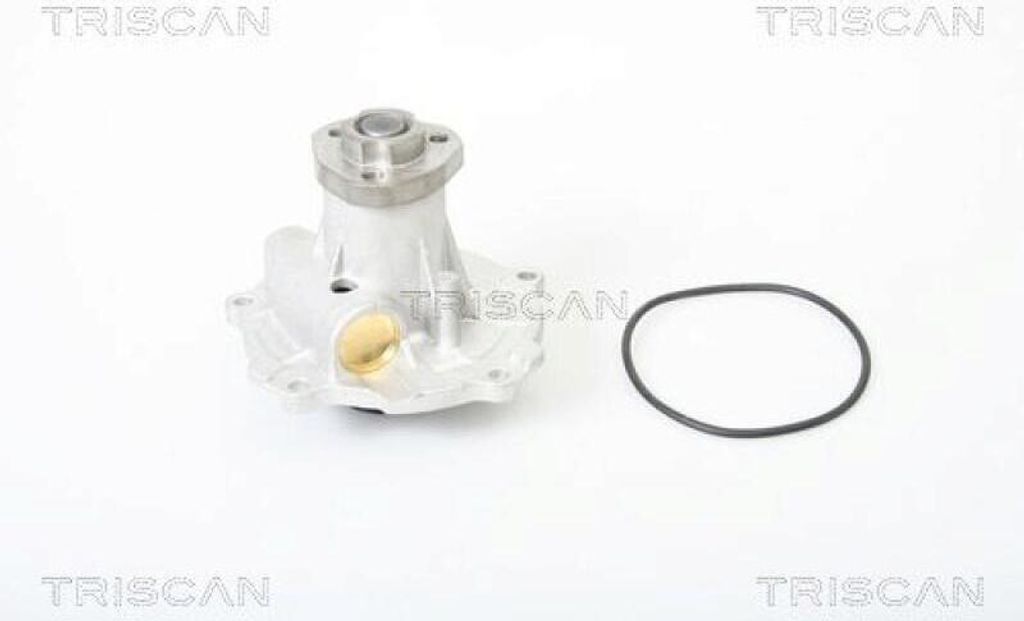 TRISCAN Wasserpumpe 8600 29006