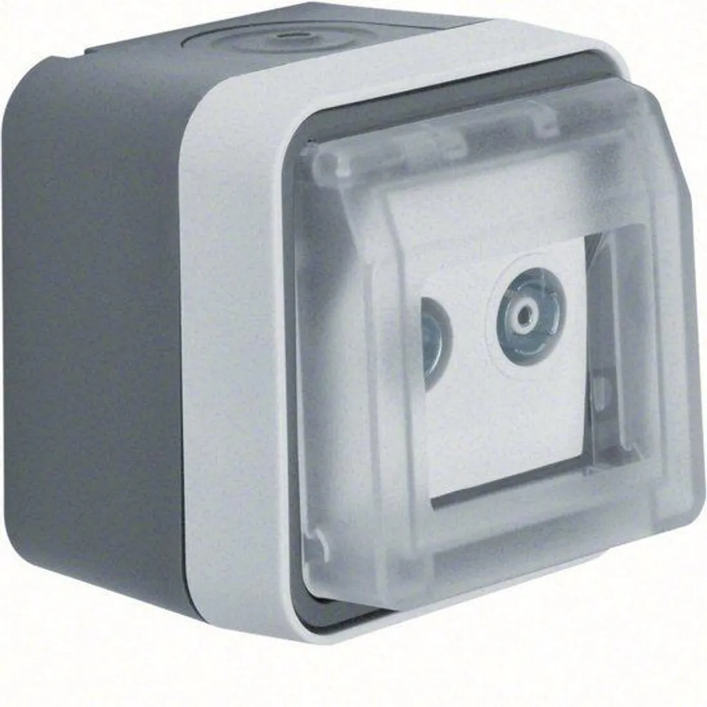 Prise d'antenne Berker gris clair mat 12033515 robuste avec clapet AP