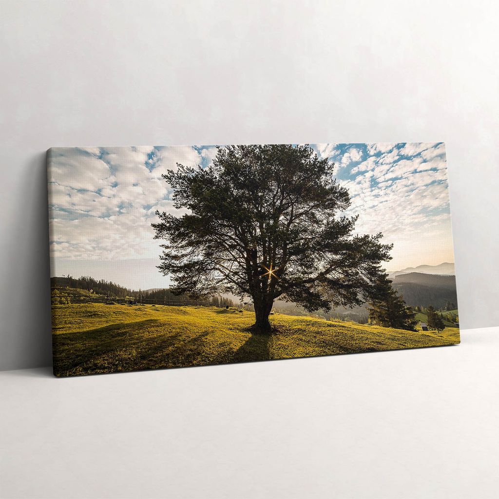 Ein Laubbaum auf einem Hügel – Leinwandbild Wandbild – 100x50 cm – Leinwandbilder – Wandbilder – Schlafzimmer – Flur