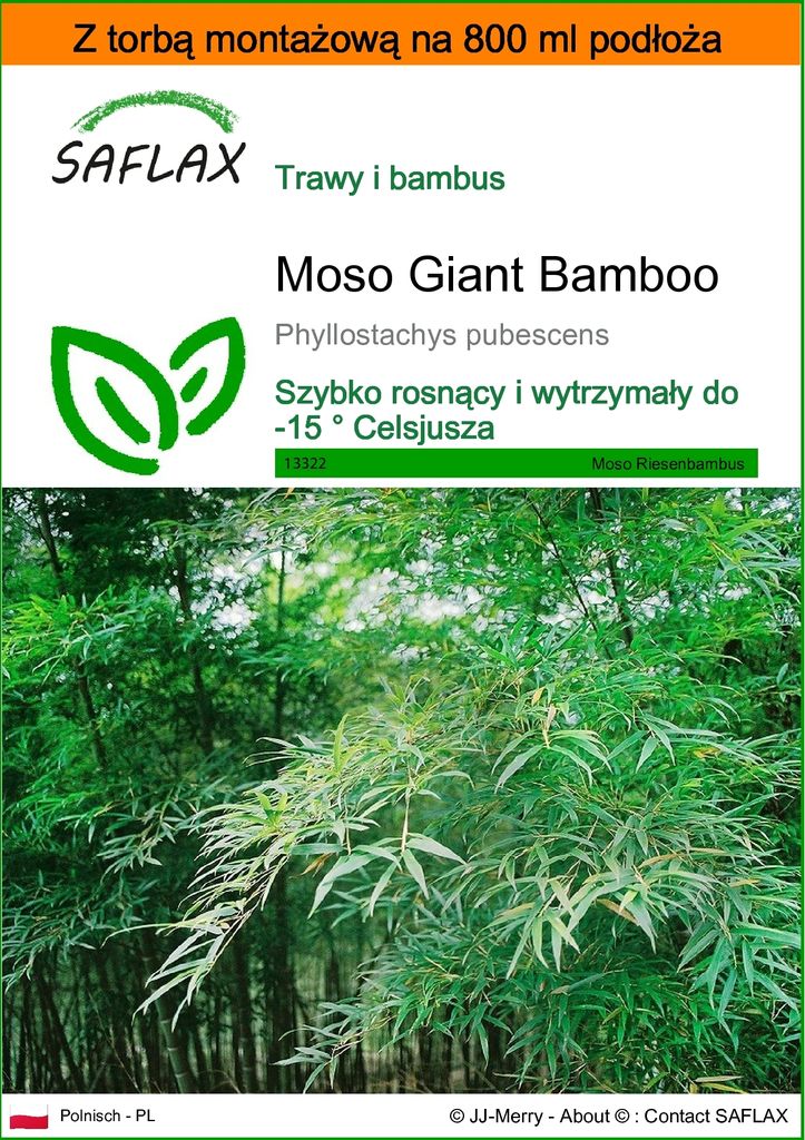 SAFLAX - Garden in the bag - Moso Giant Bamboo - 20 Nasiona Zdjęcie produktu 
