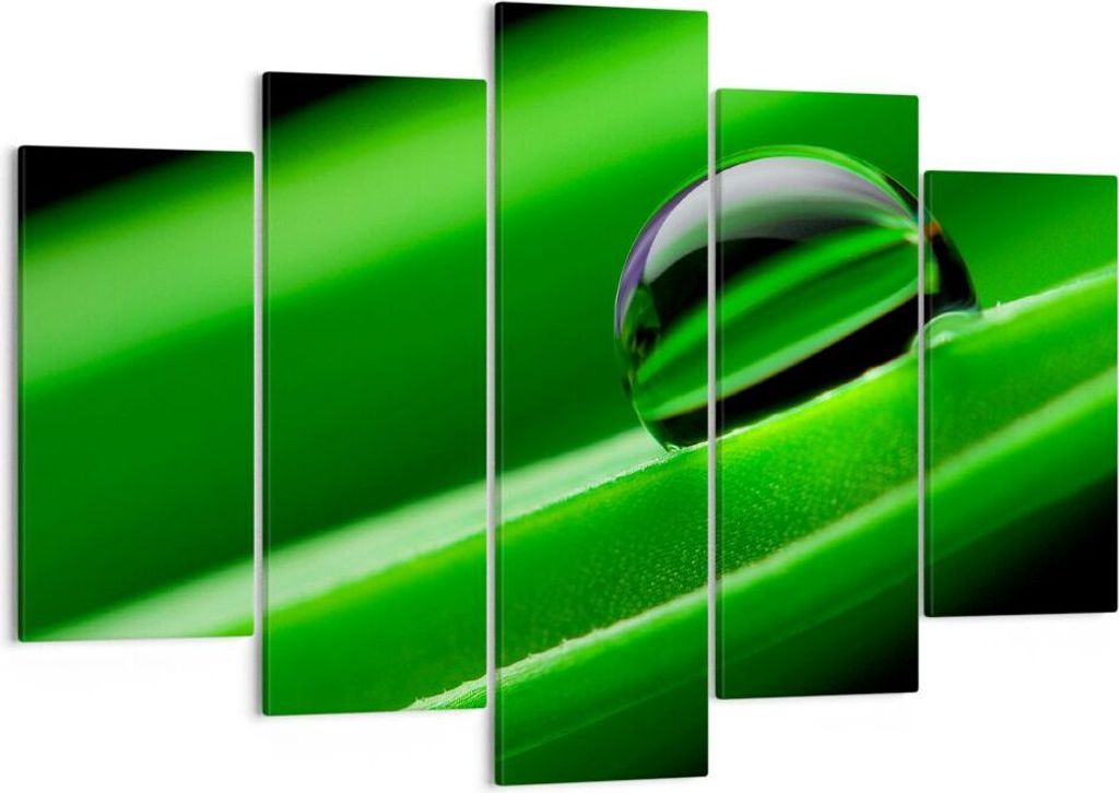 Bild auf Leinwand - Leinwandbild - Pflanze Tropfen Wasser Blase - 150x100cm - Wand Bild - Wanddeko - Leinwanddruck - Bilder - Kunstdruck - Wanddeko...