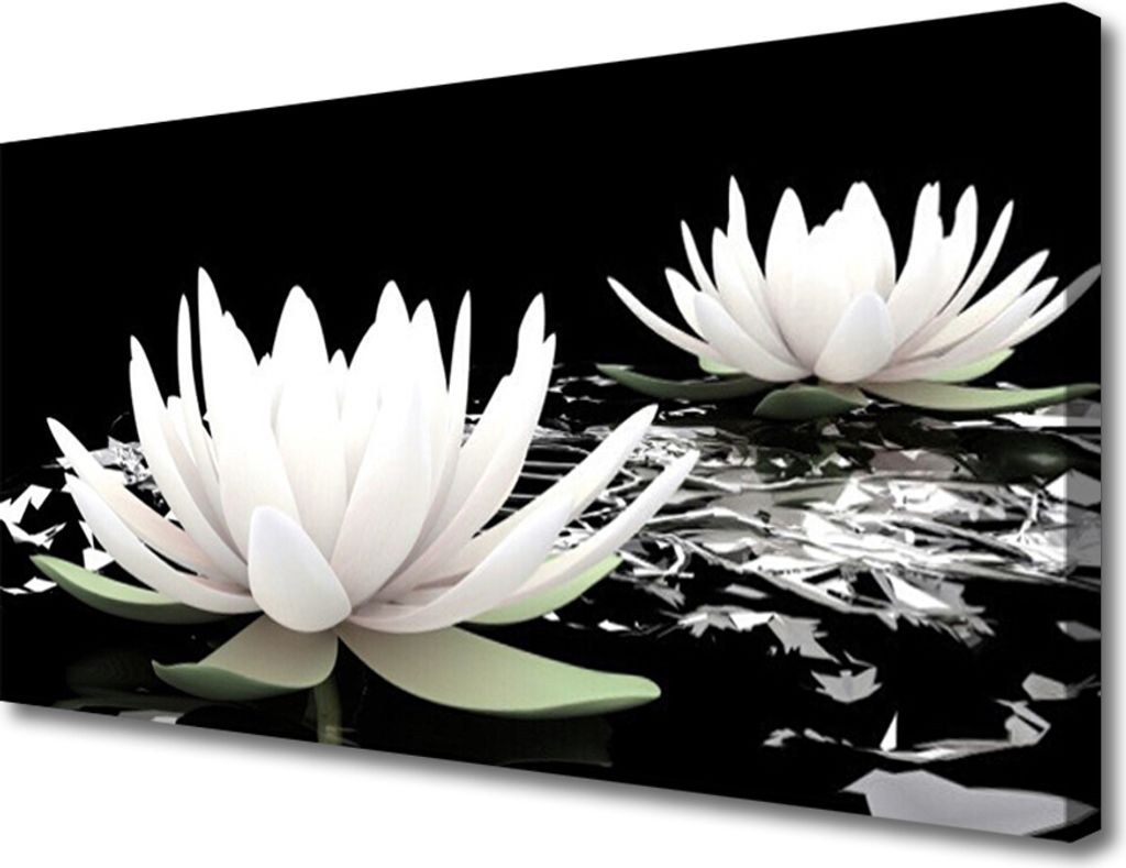 Tulup Leinwand-Bilder 100x50 Wandbild Canvas Kunstdruck Blumen Pflanzen