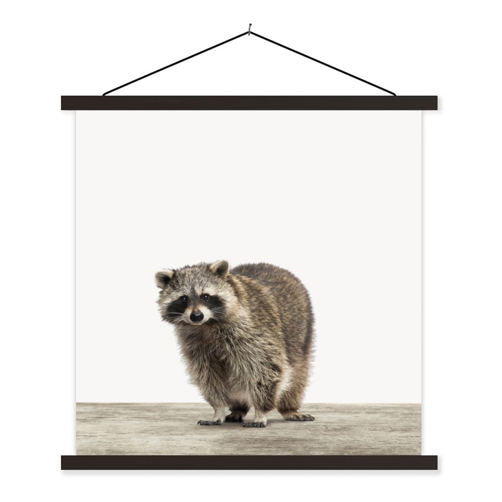 MuchoWow Textilposter Waschbär - Tiere - weißer Hintergrund - Jungen - Mädchen - Kinder 60x60 cm mit schwarzem Rahmen - Posteraufhänger