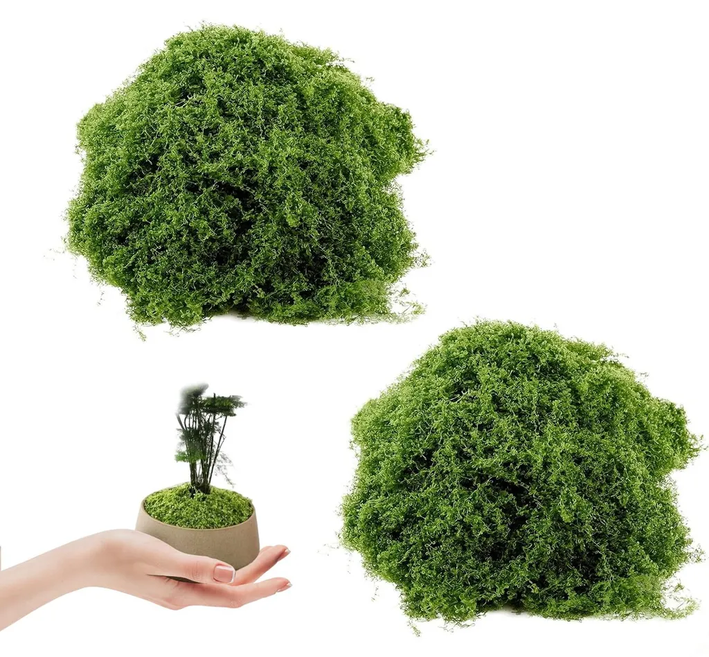Mousse artificielle sans entretien pour déco aquarium et terrasses