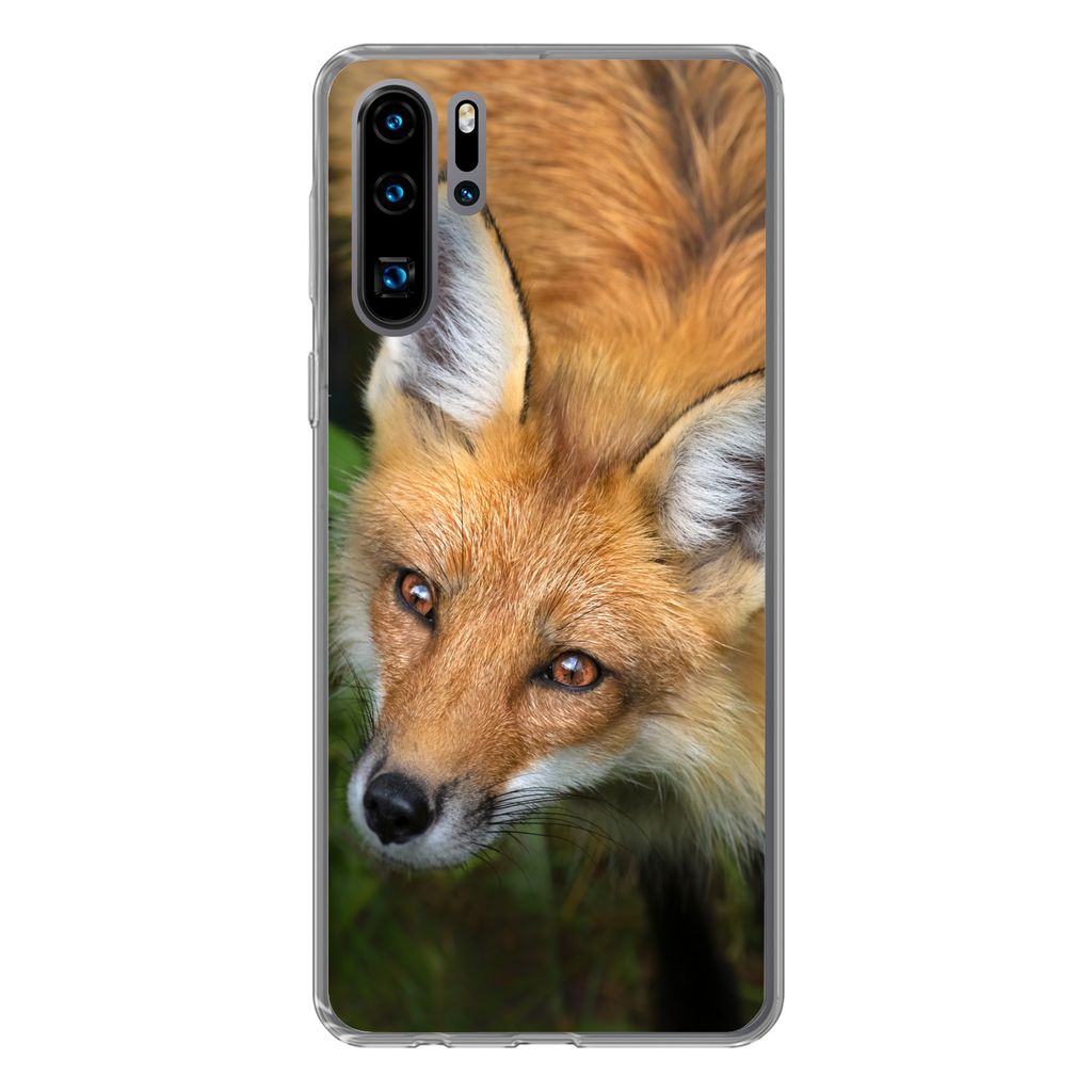 MuchoWow Handyhülle Schutzhülle Hülle für Huawei P30 Pro Fuchs - Grün - Orange Silikon Softcase Handy Hülle - Schutzdeckel