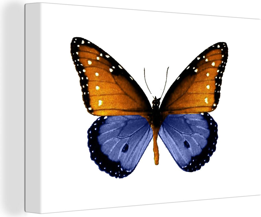 OneMillionCanvasses - Leinwandbilder - 140x90 cm, Schmetterling - Punkte - Blau, Wandbilder Kunstdruck Wanddekoration