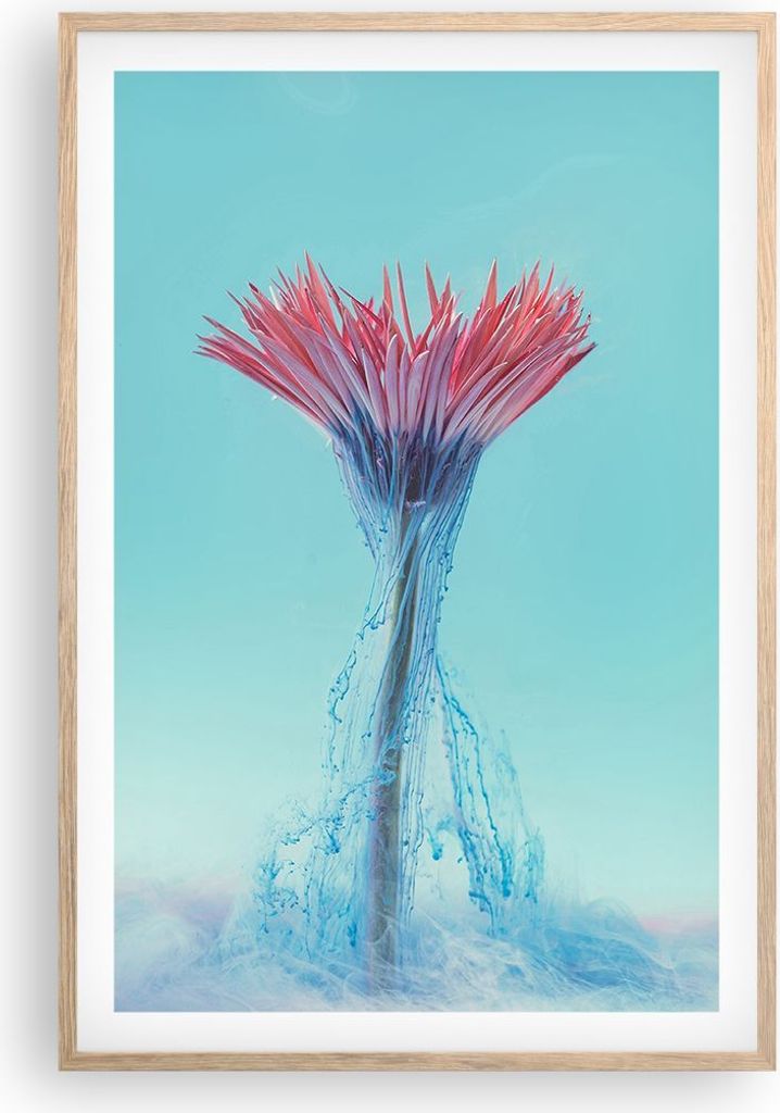 Gerahmtes Poster - Rahmen in heller Eiche - Rosa Gänseblümchen Tinte - 61x91,5 cm - Wand Bild - Wanddeko - Wandbilder - Kunstposter - Wandposter ...