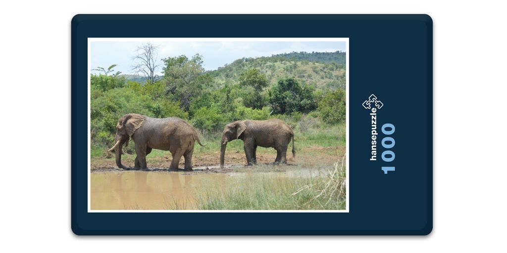 hansepuzzle 10375 - Elefant Puzzle, 1000 Teile, Natur, 60,0 x 46,0cm mit hochwertiger Aufbewahrung, Kartonbox und wiederverschließbarem Beutel