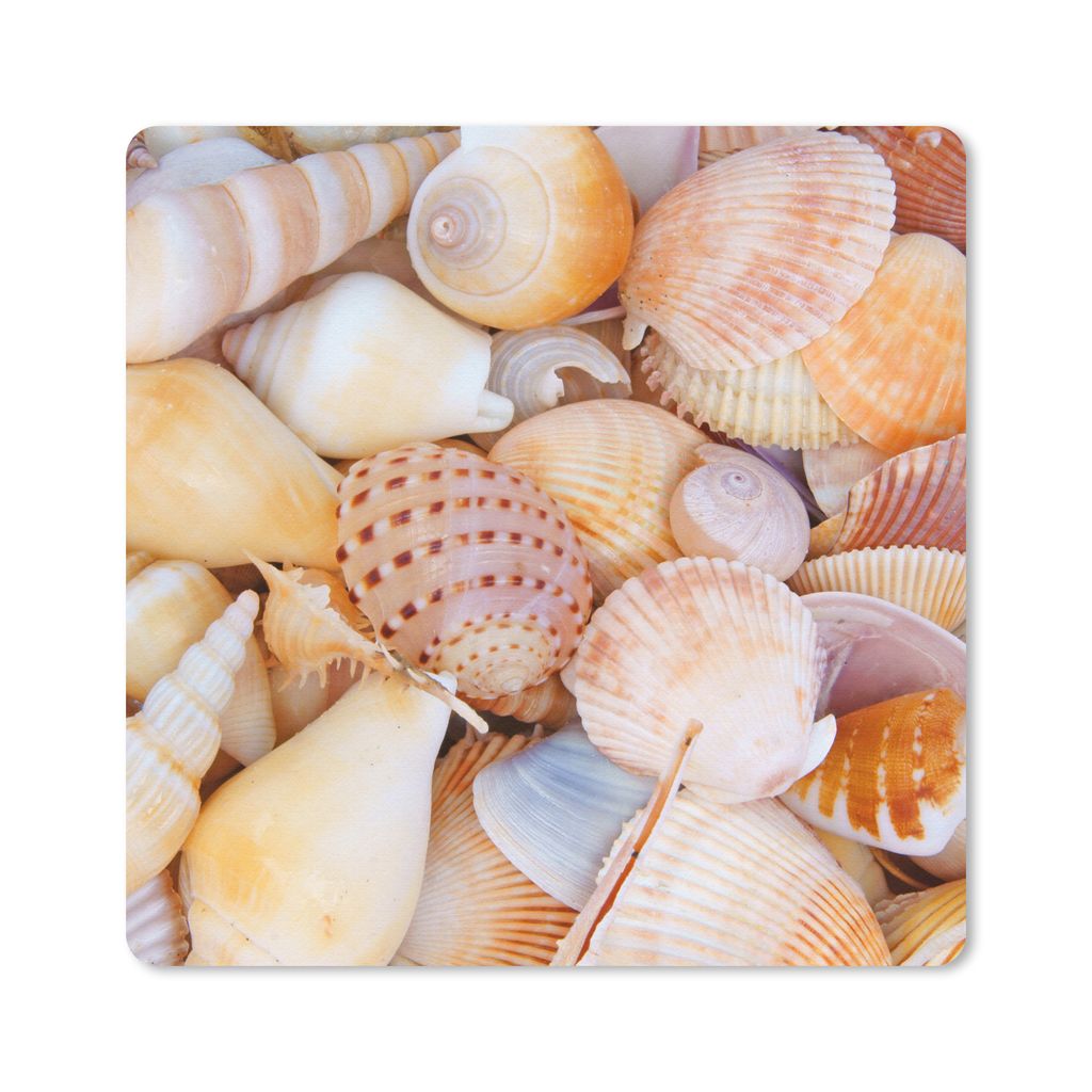 MuchoWow Mauspad Mousepad Muscheln - Strand - Sommer - Orange 20x20 cm - Mousepads - Maus Mat - Pad - Mausunterlage - Desk Mat - Bureauartikeln