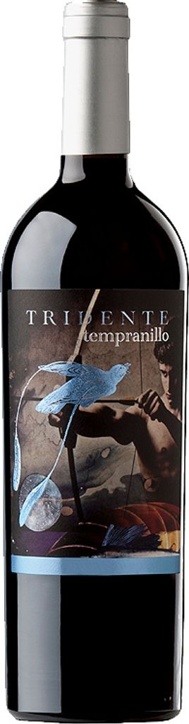 Tridente Tempranillo 2015 Vin rouge Espagne VT de Castille Image du produit 