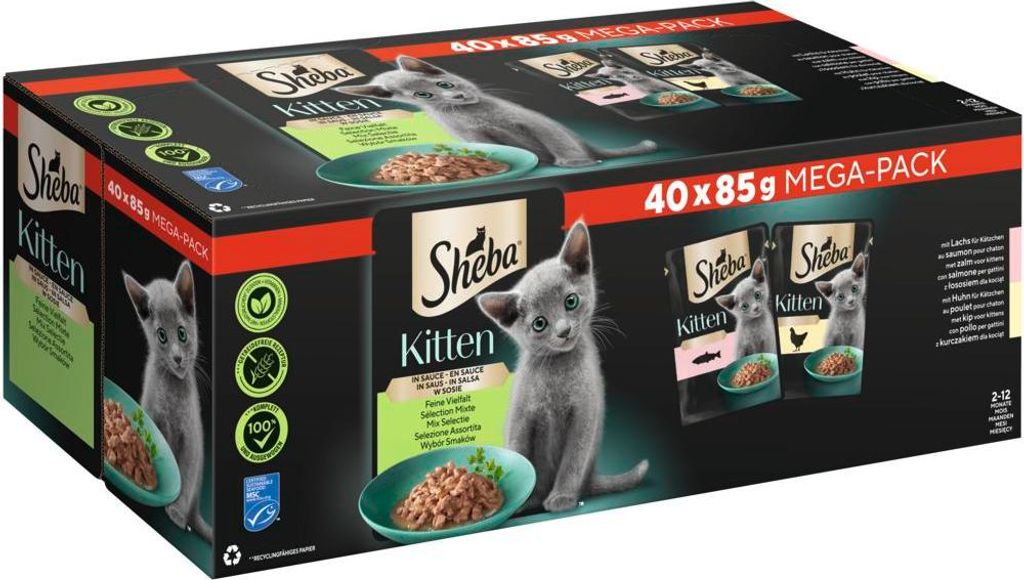 A multipack box of Sheba Kitten cat food pouches.